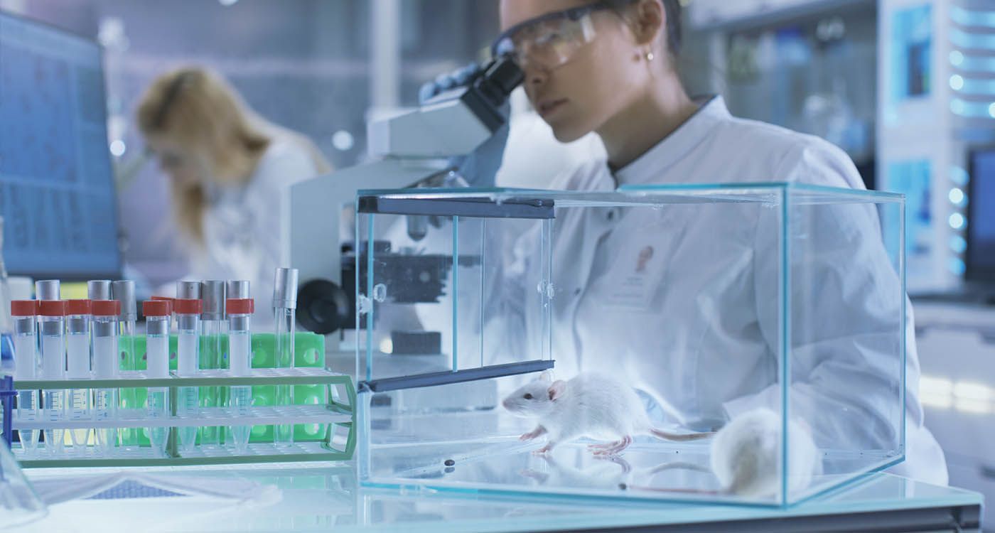Médicaments: grâce à la tech, la fin programmée des tests sur les animaux? 
