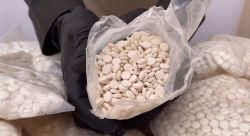 Syrian Authorities Seize 11 Million Captagon Pills Smuggled from Lebanon