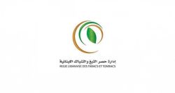 Lebanese Regie Reports 2024 Revenue Growth Despite Challenges