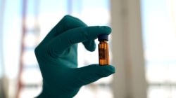 Insior: An Eco-Friendly Repellent Against the Green Aphid