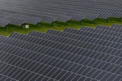 Nations Falling Short of UN Renewable Goals Says IEA