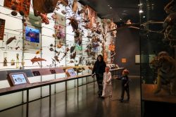 Magic Returns: Sleepovers Revive 'Night at the Museum' Tradition