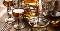 Launch of the National Wine and Alcoholic Beverages Commission