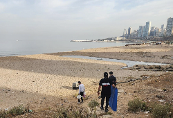 Animals Lebanon: Stray Dogs Not Linked to Ramlet al-Bayda Death