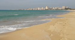 Tyre's Coast Nature Reserve: Association Warns of Grave Threat, Appeals to Aoun