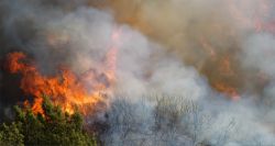 Massive Wildfire Rages Through Limassol, Cyprus