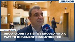 Abou Faour to TIB: We Should Find a Way to Implement Resolution 1701