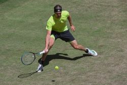 ATP 500 de Halle: Zverev domine Cobolli et retrouvera Medvedev en demies