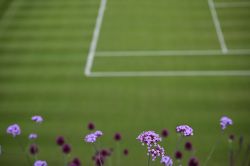 Wimbledon: l'invincible Alcaraz en quête du triplé, Djokovic rêve d'éternité