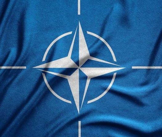 NATO Summit Seeks to Keep Trump Happy and Alliance United