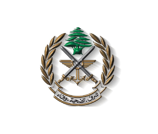 Army Denies Presence of Weapons in a House in Yanouh