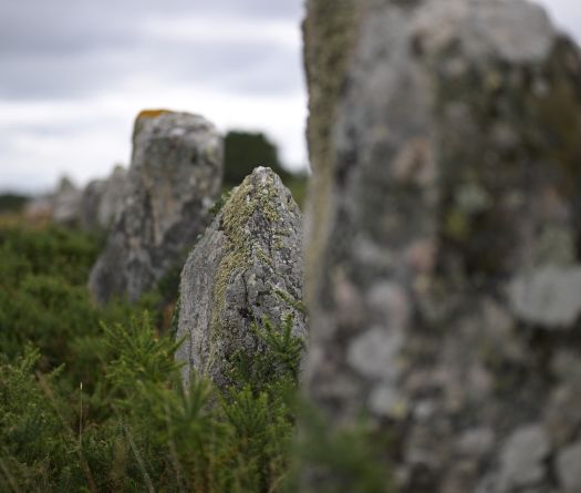 Carnac’s Megaliths Earn Global Spotlight