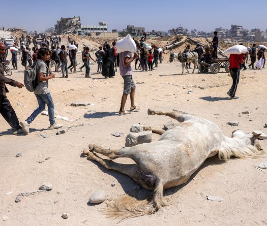 Trump Announces Food Distribution Centers for Gaza