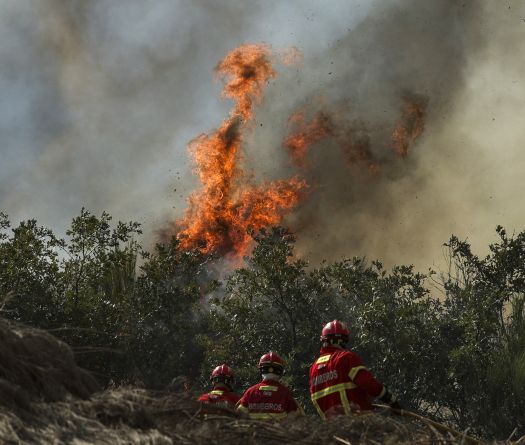 Child Dies in Italy as European Heatwave Sets Records and Sparks Wildfires