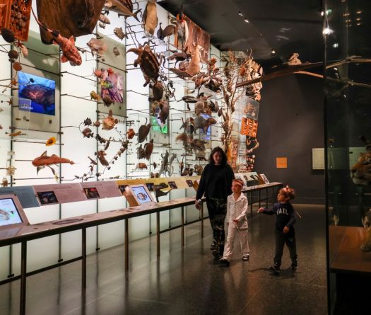 Magic Returns: Sleepovers Revive 'Night at the Museum' Tradition