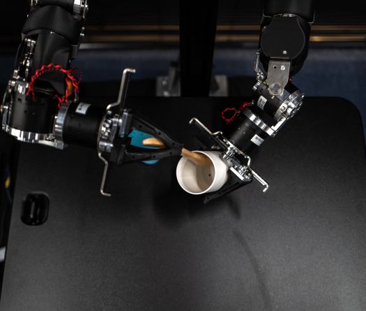 Tokyo: The Humanoid Robot Race