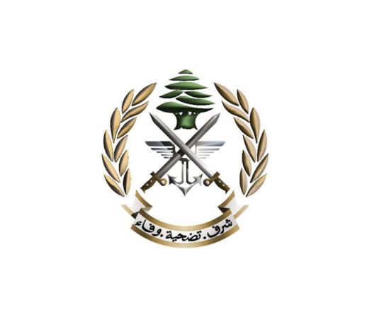 Lebanese Army Raises Readiness Level to 75% Ahead of Cabinet Meeting