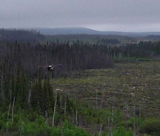Canada Turns to Drones for Reforestation After Wildfires