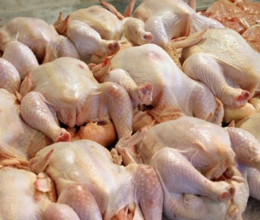 Smuggling of 500 Kg of Rotten Chicken Foiled in Al-Qaa