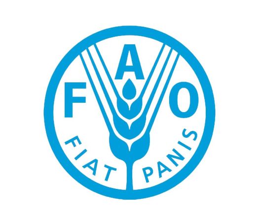 FAO Builds Partnerships to Shape Lebanon’s Agricultural Future
