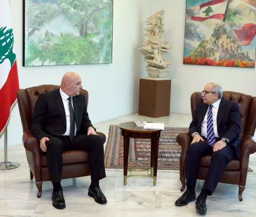 Disarmament Plan: Government Talks Begin