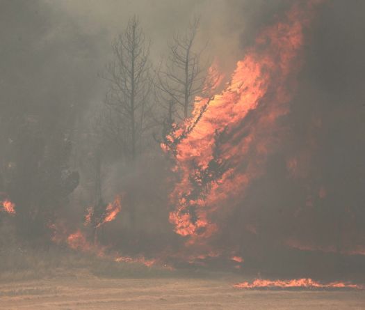 Israel Deploys Army to Control Huge Fire Near Jerusalem