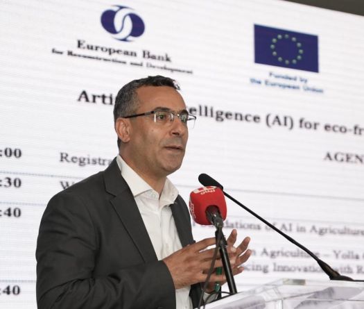 Lebanese Wine Industry Embraces AI for a Sustainable Future