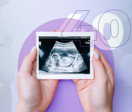 Motherhood in the 21st Century