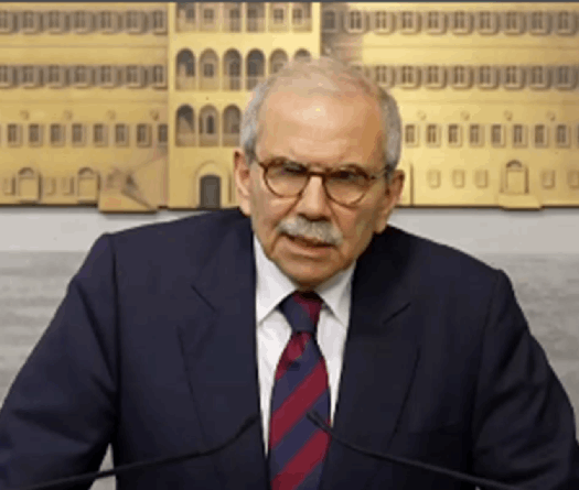PM Salam: Lebanon Intensifying Efforts to Implement UN Resolution 1701