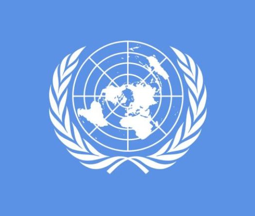 UN Welcomes New Libya Safety and Rights Committees