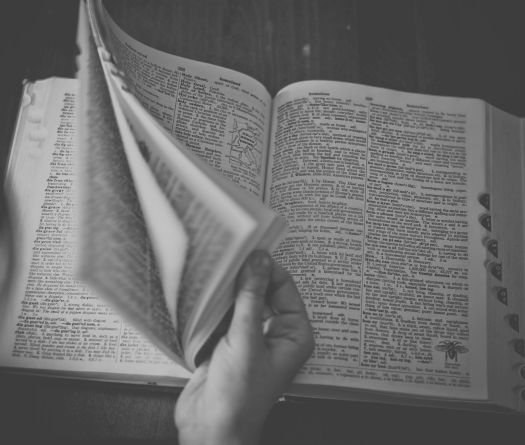 'Parasocial' Crowned Cambridge Dictionary Word of 2025