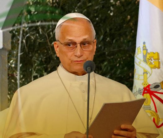 Pope Leo Calls for Peace in South Lebanon in Departing Speech