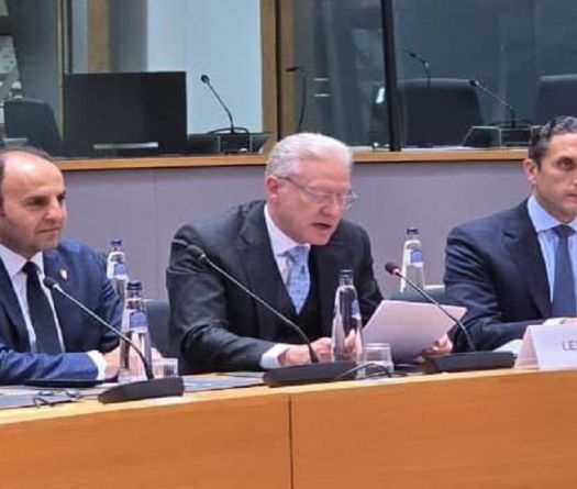 Rajji: Lebanon to Complete Disarmament by End of 2026