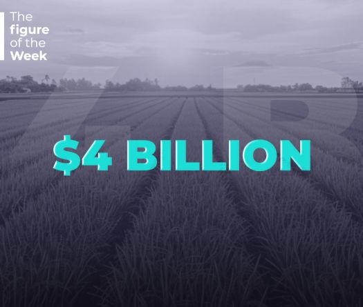 $4 Billion: The True Weight of Lebanon’s Agriculture Sector