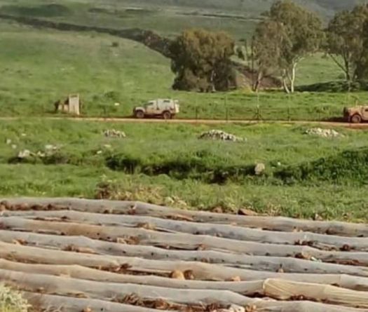 Intensive Sweep Operation Near Alma al-Shaab, Overflights Above Baalbeck