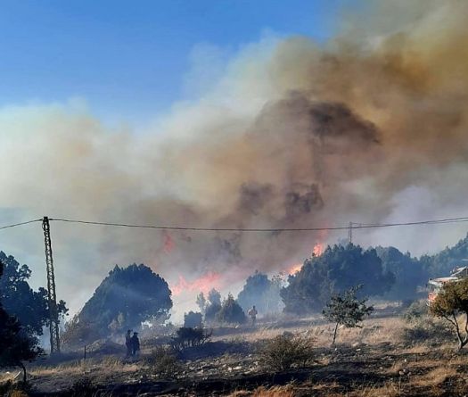 Massive Forest Fire Rages in Al-Qoubaiyat, Akkar Region