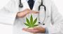 Cannabis in Lebanon: Danger on Every Level or Real Opportunity?