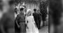 Brigitte Bardot publie un BBcédaire libre et sans filtre