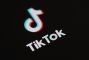 TikTok Restores Service After Trump Promises to Delay Ban