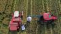 Less-Thirsty Rice Offers Hope in Drought-Stricken Chile
