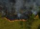 'Red Alert': Fires Drive Tropical Forest Loss to Record High