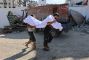 Aid Turns Deadly: Nearly 800 Killed Seeking Food in Gaza, Says UN