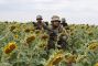 Ukraine War: Main Developments Since Trump's Inauguration