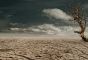 Half the World Faced an Extra Month of Extreme Heat Due to Climate Change: Study