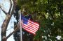 US Special Envoy for Syria Meets Shareh in Damascus
