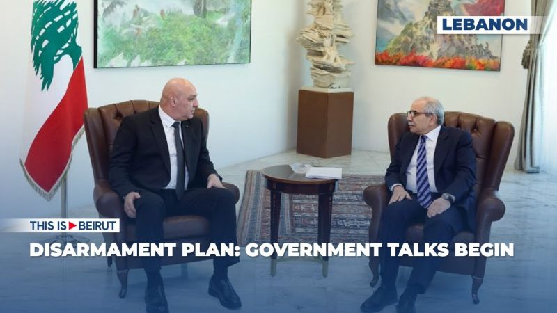 Disarmament Plan: Government Talks Begin