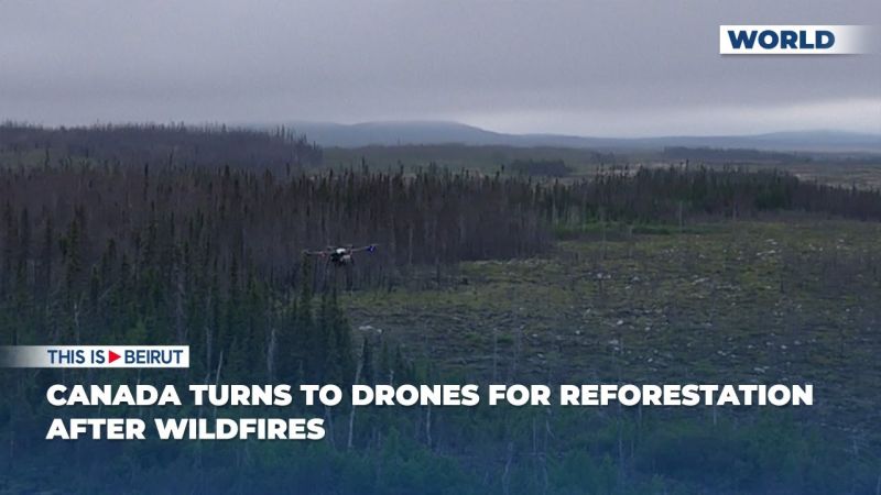 Canada Turns to Drones for Reforestation After Wildfires