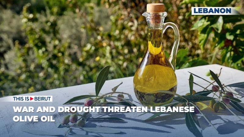 War and Drought Threaten Lebanese Olive Oil