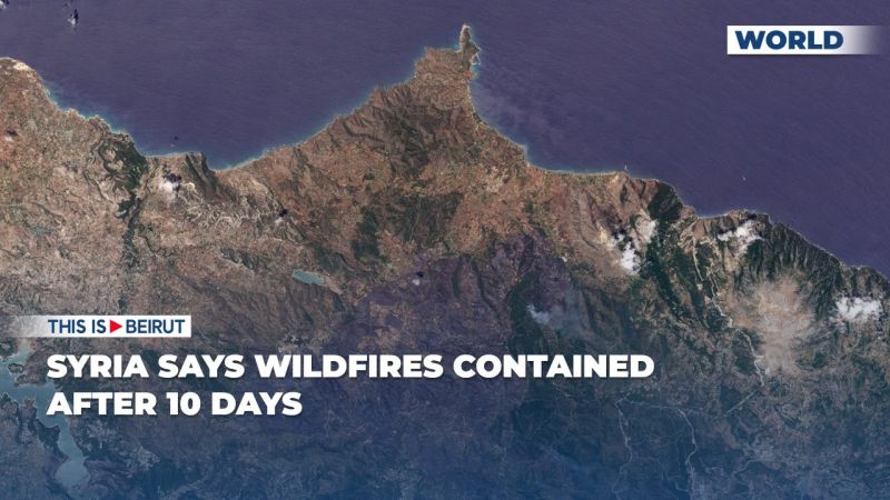 Syria says Wildfires Contained After 10 Days