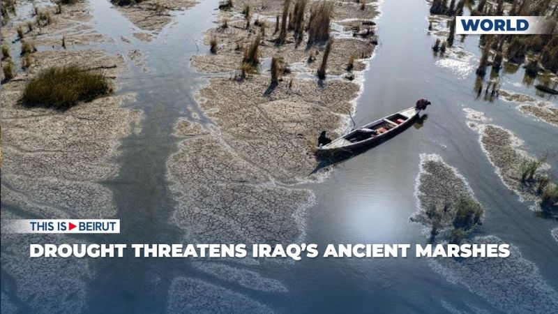 Drought Threatens Iraq’s Ancient Marshes